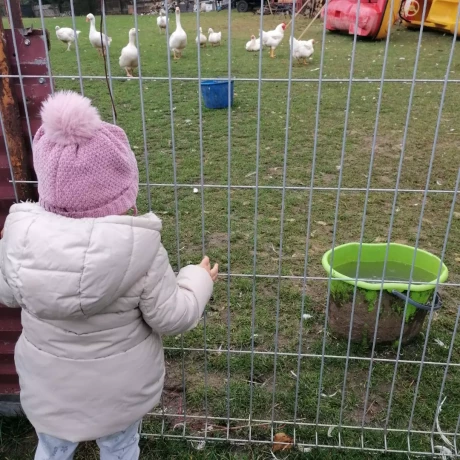 Szukam Szukamy Aktywnej Niani Dla Rocznej Dziewczynki Warszawa