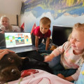 zdjęcie 11