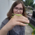 zdjęcie 1
