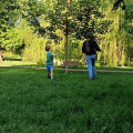 zdjęcie 15
