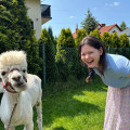 zdjęcie 1