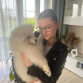 zdjęcie 1