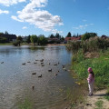 zdjęcie 7