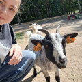 zdjęcie 4