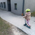 zdjęcie 4
