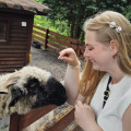 zdjęcie 2