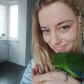 zdjęcie 1