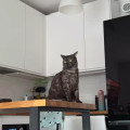 zdjęcie 3