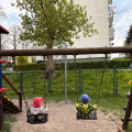 zdjęcie 5