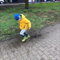 zdjęcie 3