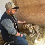 niania - zdjęcie plofirowe użytkownika Dominik H.