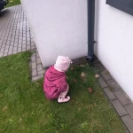 niania - zdjęcie ogłoszenia Dam pracę opiekunce dorywczo, Aleksandrów Łódzki 