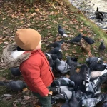 Praca niania, opiekunka