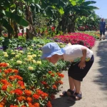 niania - zdjęcie ogłoszenia Potrzebna opieka nad dzieckiem