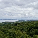niania - zdjęcie ogłoszenia Szukam opieki do dziecka