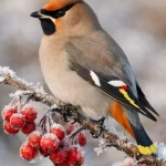 niania - zdjęcie plofirowe użytkownika Beata S.