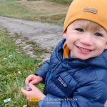 niania - zdjęcie ogłoszenia Wrocław, Oporów - opiekunka poszukiwana