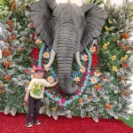 niania - zdjęcie ogłoszenia Zatrudnię opiekunkę do dziecka - chłopiec 3,5 roku