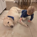 niania - zdjęcie ogłoszenia Poszukujemy opiekunki