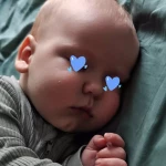 niania - zdjęcie ogłoszenia Poszukujemy opiekunki dla 5 miesięcznego Adasia