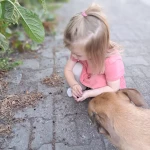 niania - zdjęcie ogłoszenia Opiekunka dla dwulatki