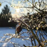 niania - zdjęcie plofirowe użytkownika Justyna E.