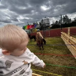 niania - zdjęcie ogłoszenia Poszukujemy opiekunki do współpracy