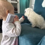 niania - zdjęcie ogłoszenia :) Szukamy super niani :)