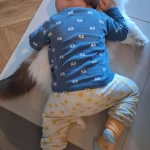 niania - zdjęcie ogłoszenia Niania dla 16m chłopca :)