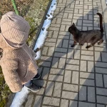 niania - zdjęcie ogłoszenia Poszukujemy opiekunki do dziecka