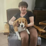 niania - zdjęcie plofirowe użytkownika Beata P.