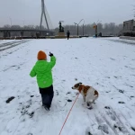 niania - zdjęcie ogłoszenia popołudnia/wieczór 2 razy w tygodniu, Praga PD