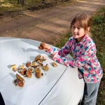 niania - zdjęcie ogłoszenia Warszawa, Mokotów, Stary Mokotów - opiekunka poszukiwana