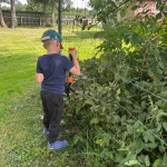 niania - zdjęcie ogłoszenia Szukamy zaufanej niani do dorywczej opieki nad dzieckiem