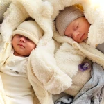 niania - zdjęcie ogłoszenia Zatrudnię opiekunkę do bliźniąt