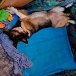 niania - zdjęcie plofirowe użytkownika Anna P.