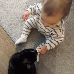 niania - zdjęcie ogłoszenia Niania/ Opiekun dla synka (okolice CH Klif)