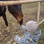 niania - zdjęcie ogłoszenia Praca dla opiekunki Jaworowa, gm. Raszyn, woj. mazowieckie