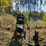 niania - zdjęcie ogłoszenia Sierakowice, woj. pomorskie - opiekunka poszukiwana