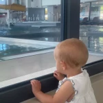 niania - zdjęcie ogłoszenia Potrzebna opieka nad dzieckiem