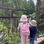 niania - zdjęcie ogłoszenia Potrzebna opiekunka do dzieci