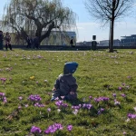 niania - zdjęcie ogłoszenia Niania na cały etat, Podgórze, od września