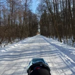 niania - zdjęcie ogłoszenia Potrzebna opieka nad dzieckiem