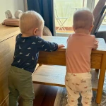 niania - zdjęcie ogłoszenia Szukamy pomocy do opieki nad 13 miesięcznymi bliźniętami