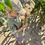 niania - zdjęcie ogłoszenia Niania dla 4-letniego chłopca