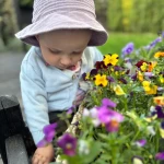 niania - zdjęcie ogłoszenia Szukam opiekunki dla 1,5-rocznej dziewczynki, dorywczo 