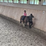 niania - zdjęcie ogłoszenia Warszawa, Mokotów - opiekunka poszukiwana