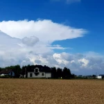 Praca niania, opiekunka