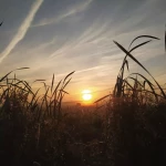 niania - zdjęcie plofirowe użytkownika Urszula Z.