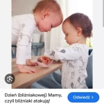niania - zdjęcie ogłoszenia Niania do opieki nad blizniakami 